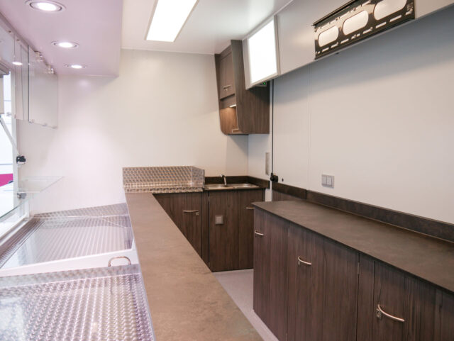 Verkaufsmobil, Verkaufsfahrzeuge, Verkaufswagen, Fischmobil, Kühltheke, Fischfahrzeug, Fischwagen, Wochenmarktwagen, Wochenmarktfahrzeug, Mobil verkaufen, Fahrzeug mit Kühltheke,