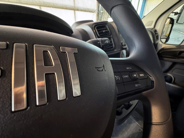 Multifunktionslenkrad im Verkaufsfahrzeug Fisch