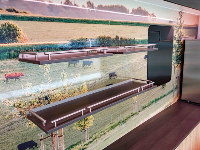 Rückwand im Tourenmobil mit Folierung und Borden