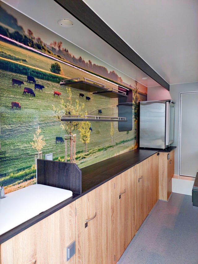 Verkaufsfahrzeug Rückwand mit Tiefkühlschrank